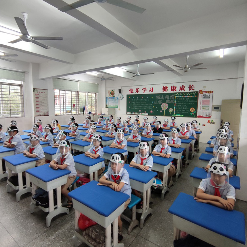2Pcs Kids Protective Face Guar - đánh giá và giá Kids Face Mask